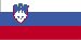 slovenian ALL OTHER < $1 BILLION - Indústria Descrição Especialização (página 1)